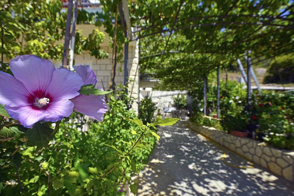 Apartmán Micic